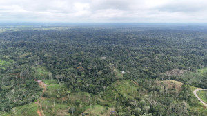 dji 20240715093617 d